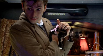 Doctor + Kitten
